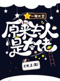 一胎双宝，原来夫人是大佬