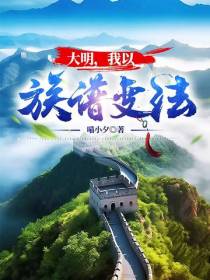 大明,我以族谱变法