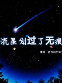流星划过了无痕