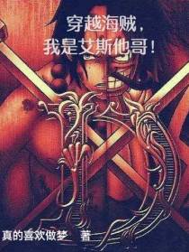 穿越海贼,我是艾斯他哥！