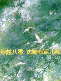 穿越八零沈糖有点辣