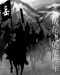 穿越成岳飞的那些年