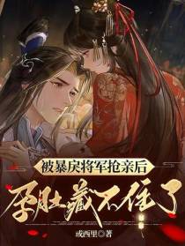 被暴戾将军抢亲后,孕肚藏不住了
