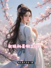 我玩的是假三国？