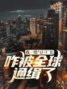 我一煤气厂厂长，咋被全球通缉了？