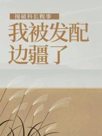 撞破科长糗事，我被发配边疆了