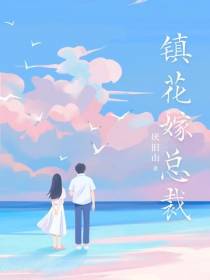 镇花嫁总裁