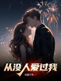 从没人爱过我