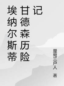 埃纳尔斯蒂甘德森历险记