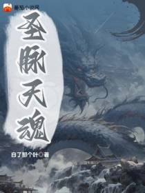 圣脉天魂