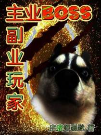 主业BOSS,副业玩家