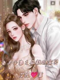 老夫少妻之总裁的宝贝
