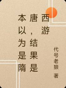 本以为是隋唐,结果是西游