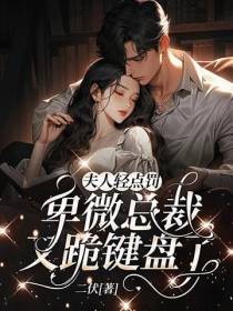 夫人轻点罚,卑微总裁又跪键盘了