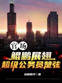 官场：鲲鹏展翅，超级公务员楚弦