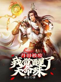 丹田被废,我觉醒了天命珠