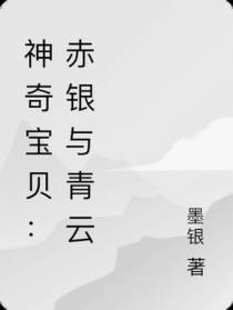 神奇宝贝：赤银与青云