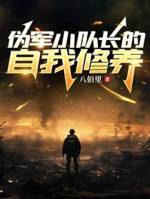 伪军小队长的自我修养