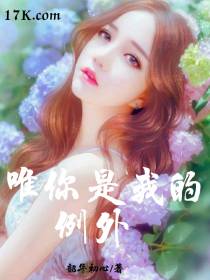 唯你是我的例外