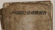 小马宝莉：小马国社会调查报告