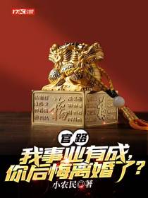 官路：我事业有成，你后悔离婚了？