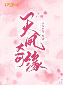 天凤奇缘