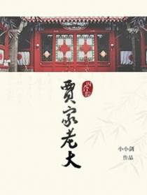 四合院,贾家老大