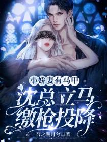 小娇妻有马甲,沈总立马缴枪投降
