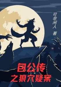 包公传之狼穴疑案