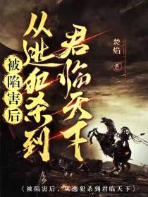 被陷害后，从逃犯杀到君临天下