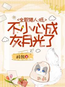 全职猎人：呀,不小心成灰月光了