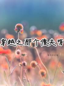 穿越之那个傻夫呀