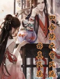 四合院之曾风流亦真风流