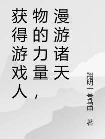 获得游戏人物的力量,漫游诸天