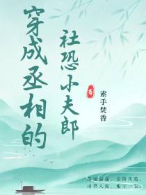 【穿越】丞相大人的社恐小夫郎