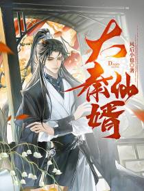 大秦仙婿