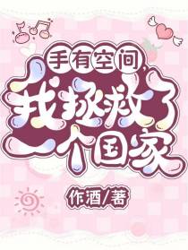 手有空间,我拯救了一个国家