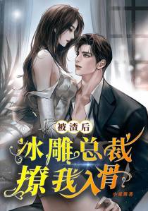 被渣后,冰雕总裁撩我入骨