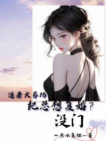 追妻火葬场：纪总想复婚？没门