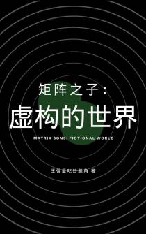 矩阵之子：虚构的世界