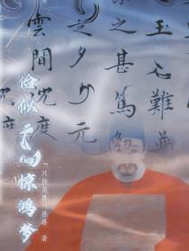 恰似云间惊鸿梦