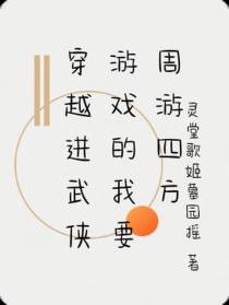 穿越进武侠游戏的我要周游四方