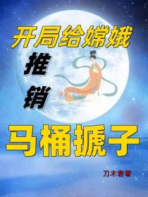 开局给嫦娥推销马桶搋子