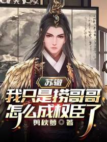 苏辙：我只是捞哥哥怎么成权臣了
