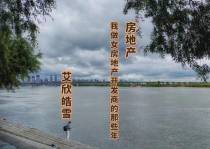房地产：我做女开发商的那些年