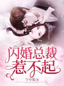 闪婚总裁惹不起