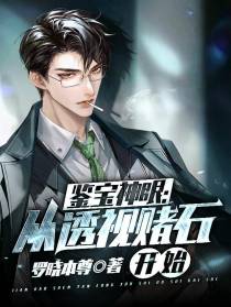 鉴宝神眼：从透视赌石开始