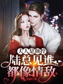 夫人是颜控，陆总见谁都像情敌