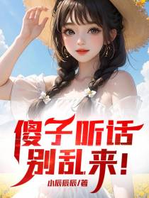 傻子听话,别乱来！