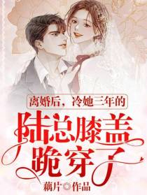 离婚后冷她三年的陆总膝盖跪穿了